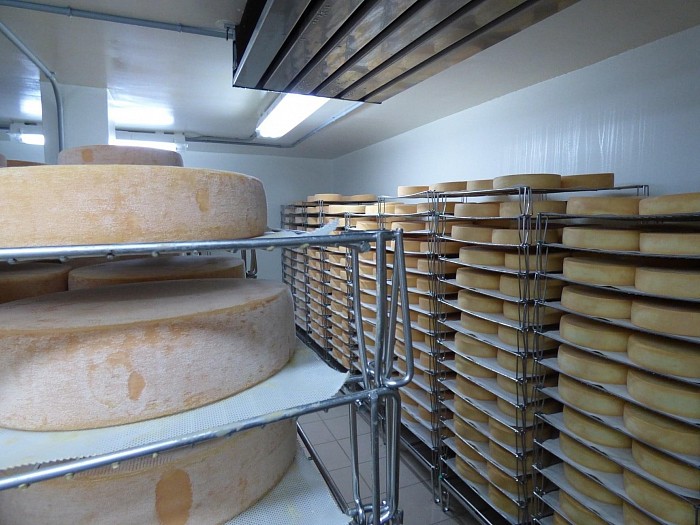 Les fromages dans la salle d’affinage.