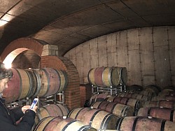Plusieurs barils de vin sont entreposées dans la cave.